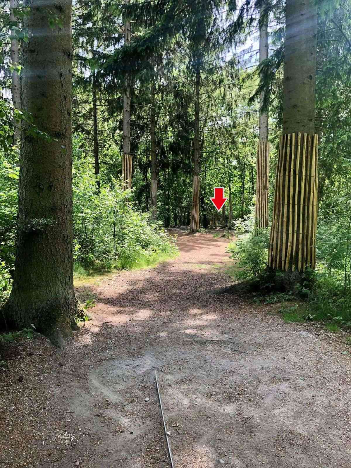 Bild von Bahn 1 von Norderstedt